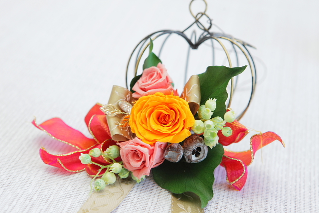 http://www.caracoles.jp/blog/images/20160215-1.JPG
