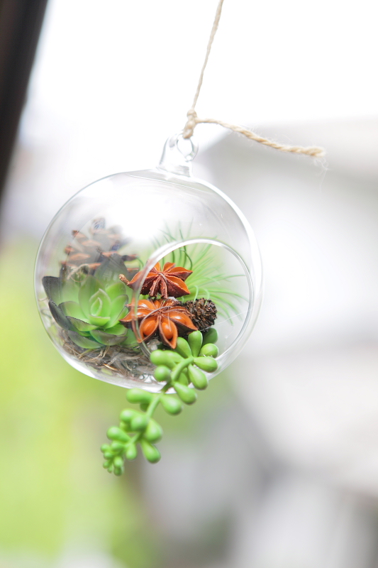 http://www.caracoles.jp/blog/images/20160501-2.JPG