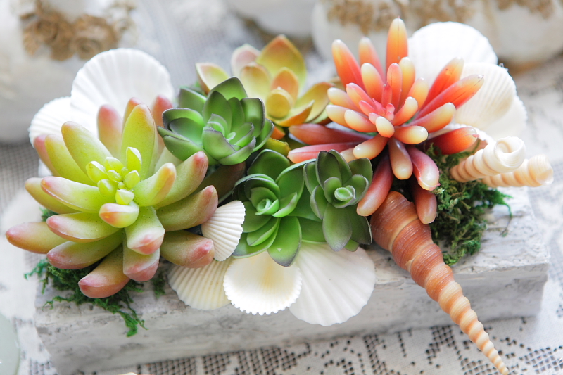 http://www.caracoles.jp/blog/images/20160608.JPG