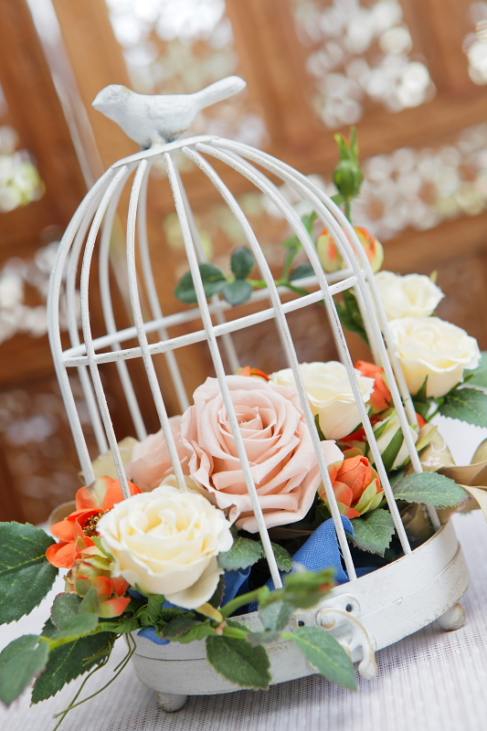 http://www.caracoles.jp/blog/images/20160909-1.JPG