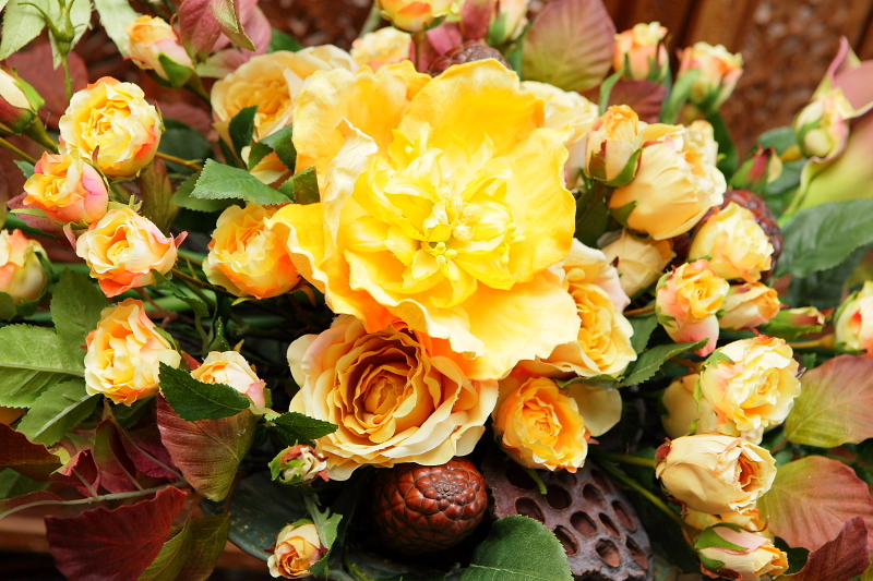 http://www.caracoles.jp/blog/images/20160910.JPG