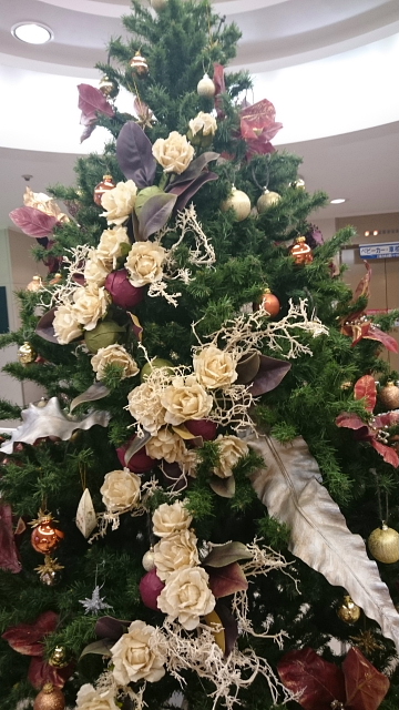 http://www.caracoles.jp/blog/images/20161125-3.JPG