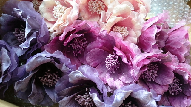 http://www.caracoles.jp/blog/images/20170119-3.JPG