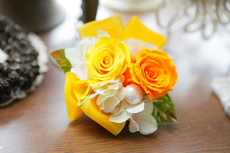 http://www.caracoles.jp/blog/images/20170124-2.JPG