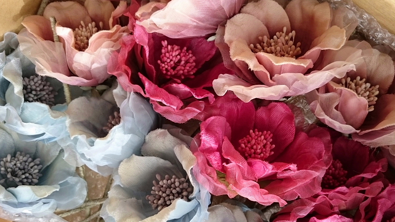 http://www.caracoles.jp/blog/images/20170201.JPG