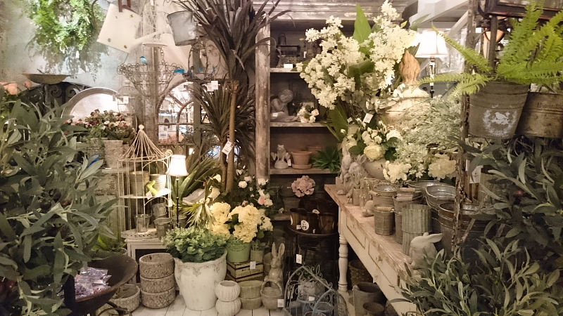 http://www.caracoles.jp/blog/images/20170327-1.JPG