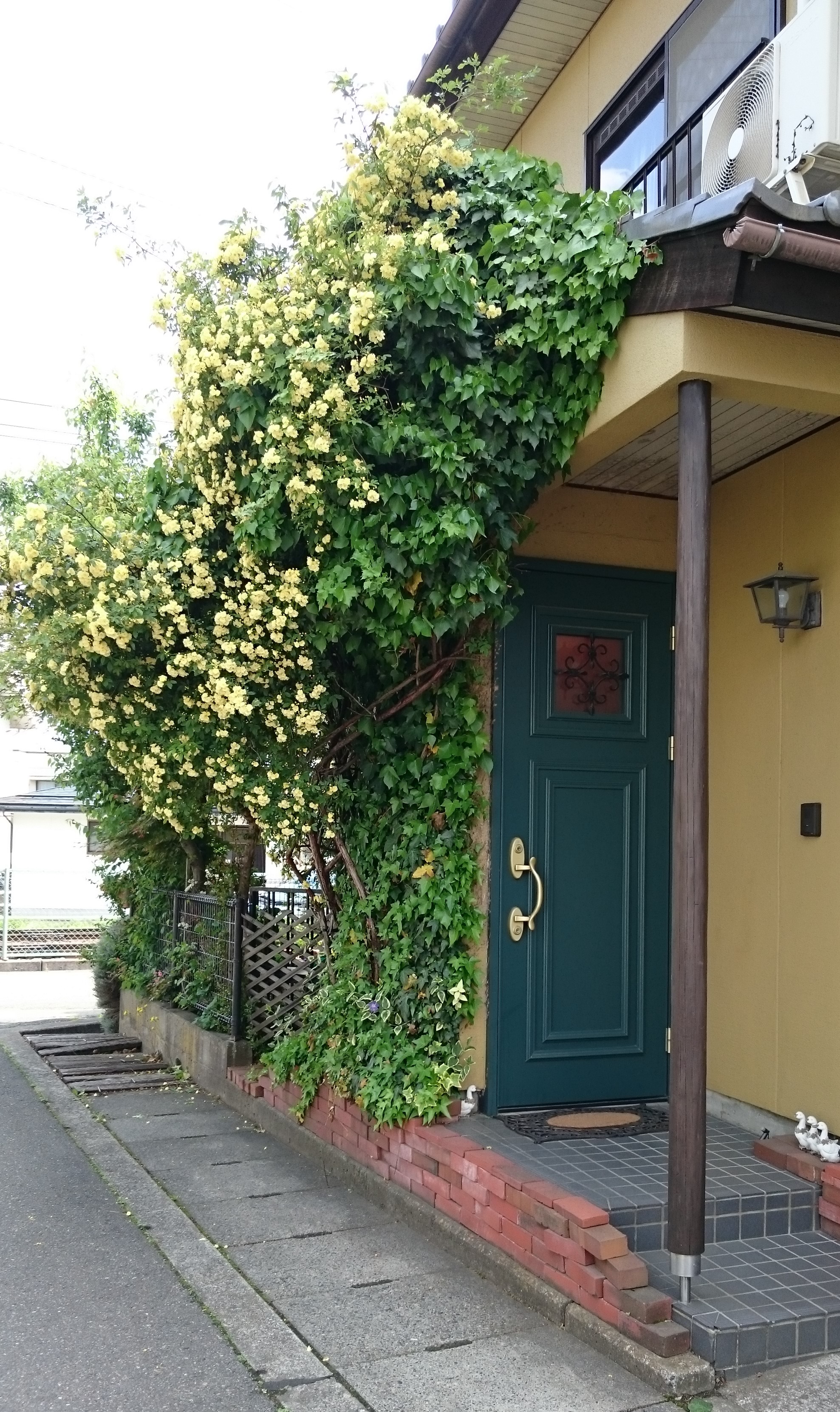 http://www.caracoles.jp/blog/images/20170505.JPG