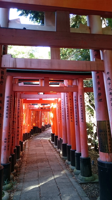 http://www.caracoles.jp/blog/images/husimiinari1.JPG