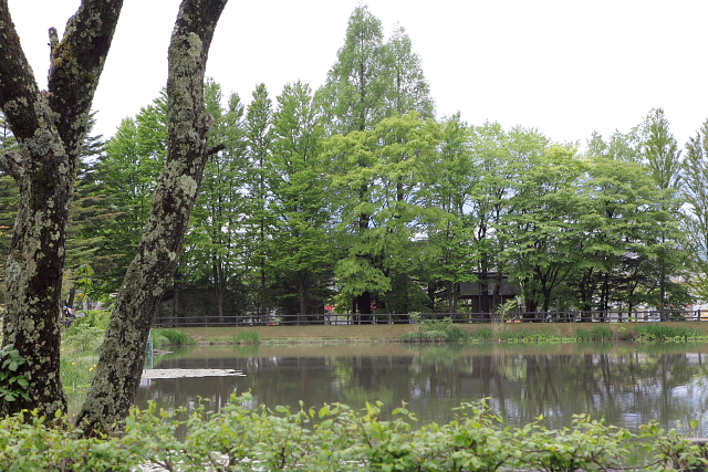 http://www.caracoles.jp/blog/images/ohoga-7.JPG