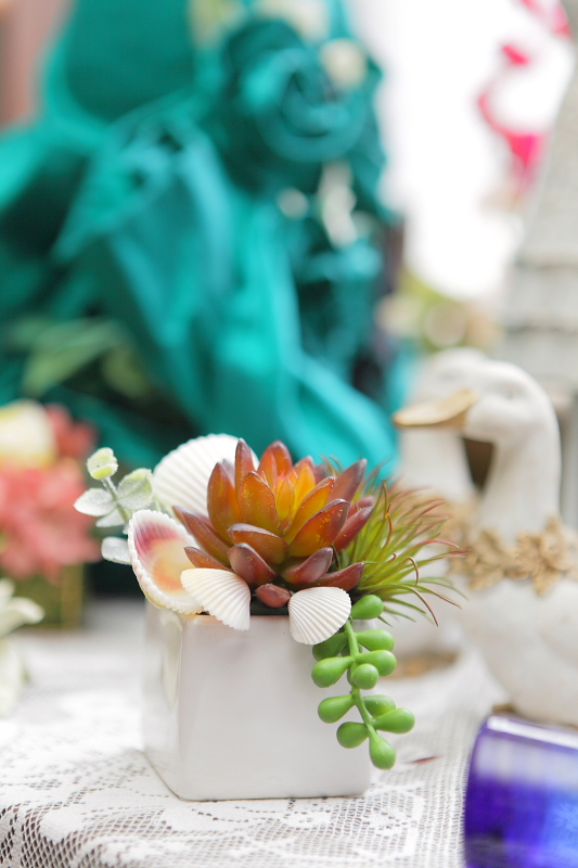 http://www.caracoles.jp/blog/images/taniku-1.JPG