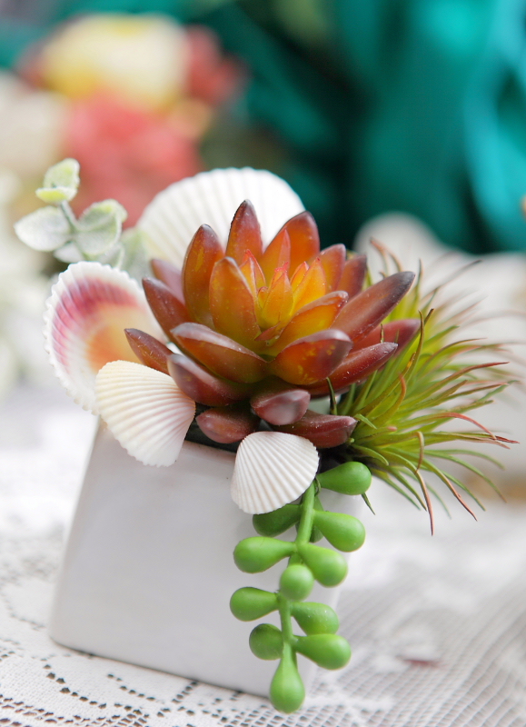 http://www.caracoles.jp/blog/images/taniku-2.JPG