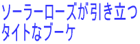 顼Ω Ȥʥ֡ 