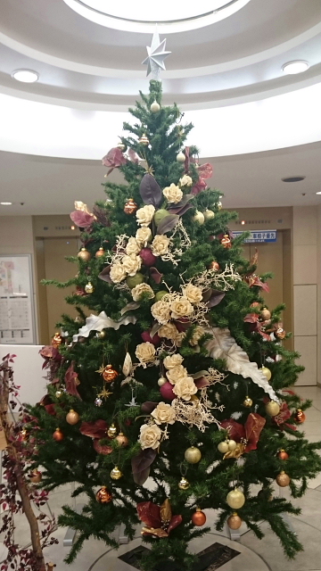 20161125-1.JPG