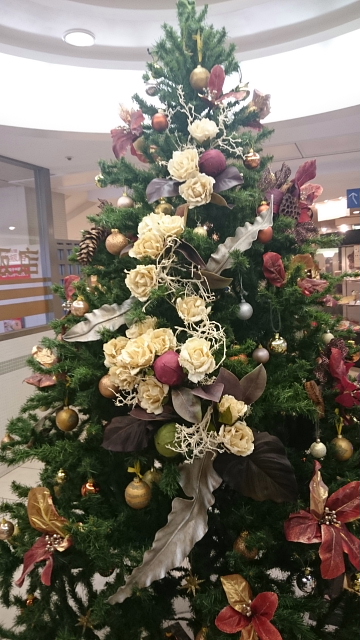20161125-2.JPG
