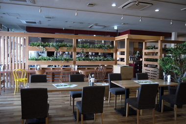20170225-4.JPG