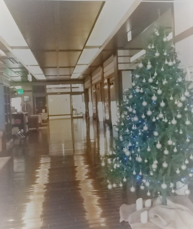20201119.JPG