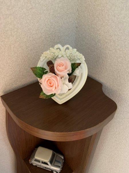 https://www.caracoles.jp/blog/images/20200429-6.jpg
