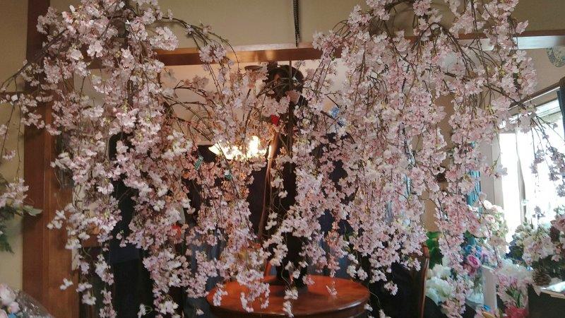 https://www.caracoles.jp/blog/images/2021-03-01-14-50-44-127.jpg