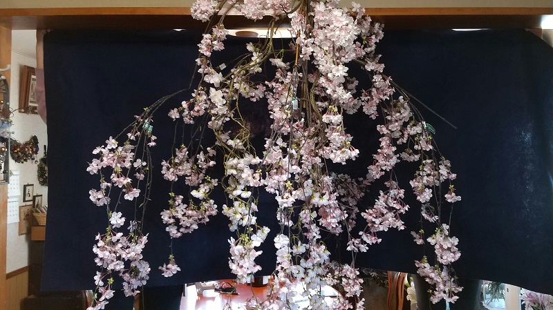 https://www.caracoles.jp/blog/images/20210222-2.JPG