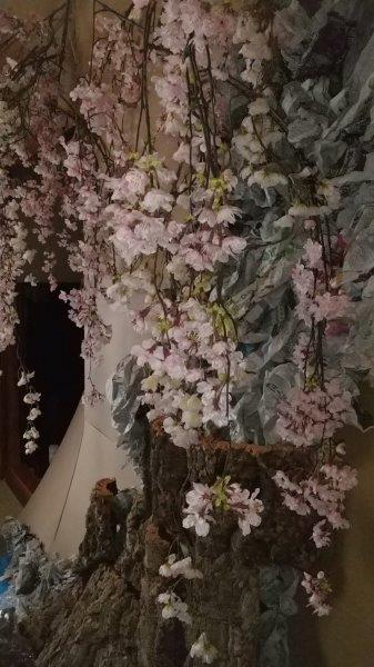 https://www.caracoles.jp/blog/images/DSC_0888.jpg