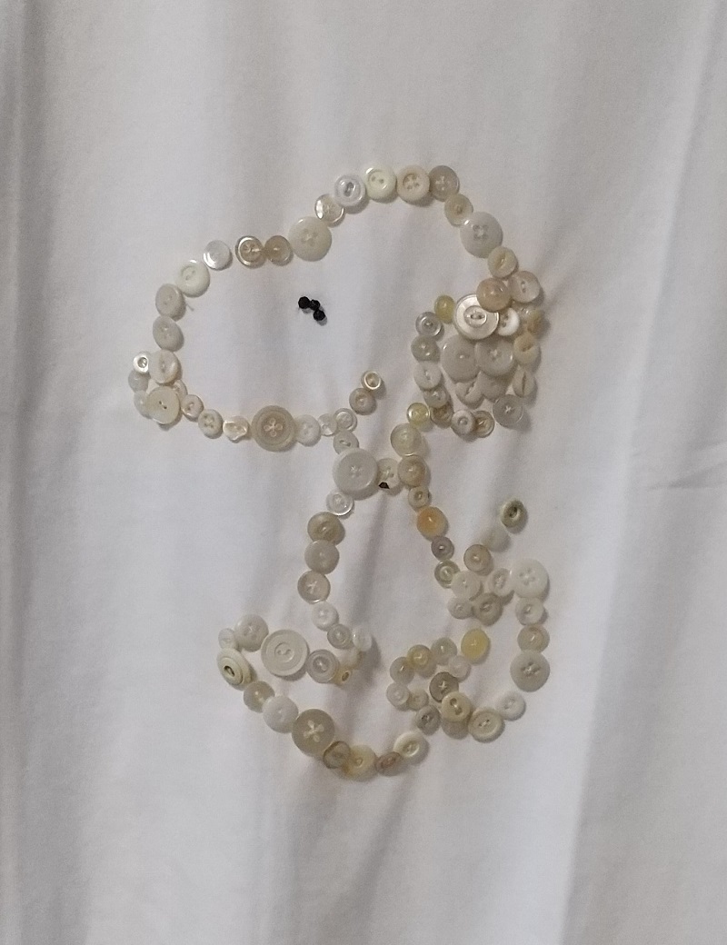 https://www.caracoles.jp/blog/images/DSC_1017.JPG