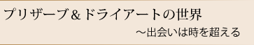 プリザーブ＆ドライアートの世界～出会いは時を超える