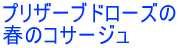 プリザーブドローズの 春のコサージュ 