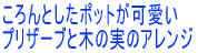 ころんとしたポットが可愛い プリザーブドと木の実のアレンジ