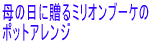 母の日に贈るミリオンブーケの ポットアレンジ 