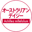 オーストラリアンデイジー
Achillea millefolium 