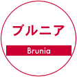 ブルニア　Brunia